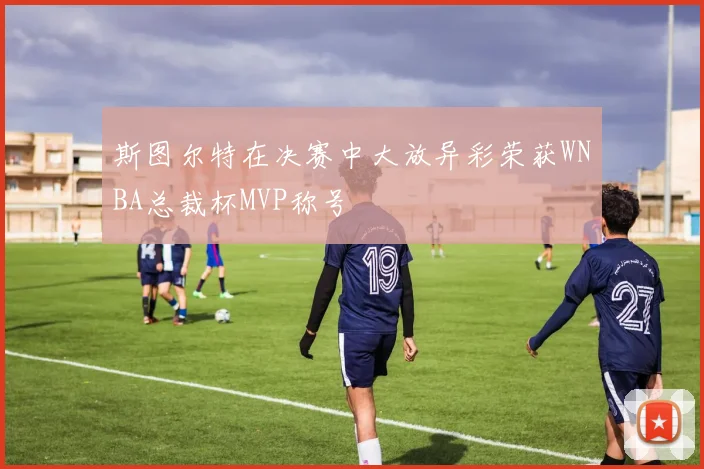 斯图尔特在决赛中大放异彩荣获WNBA总裁杯MVP称号