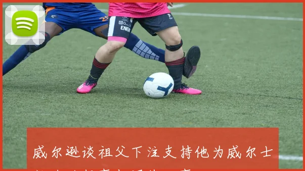 威尔逊谈祖父下注支持他为威尔士效力的趣事与退休故事